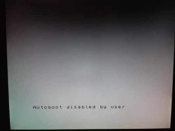 05_disabled_autoboot.jpg